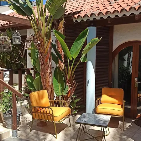 منتجع Birdcage Gay Men And Lifestyle (adults Only) 4*