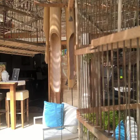 منتجع Birdcage Gay Men And Lifestyle (adults Only)