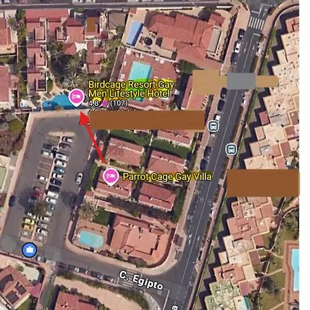Birdcage Gay Men And Lifestyle (adults Only) Playa del Ingles (Gran Canaria)
